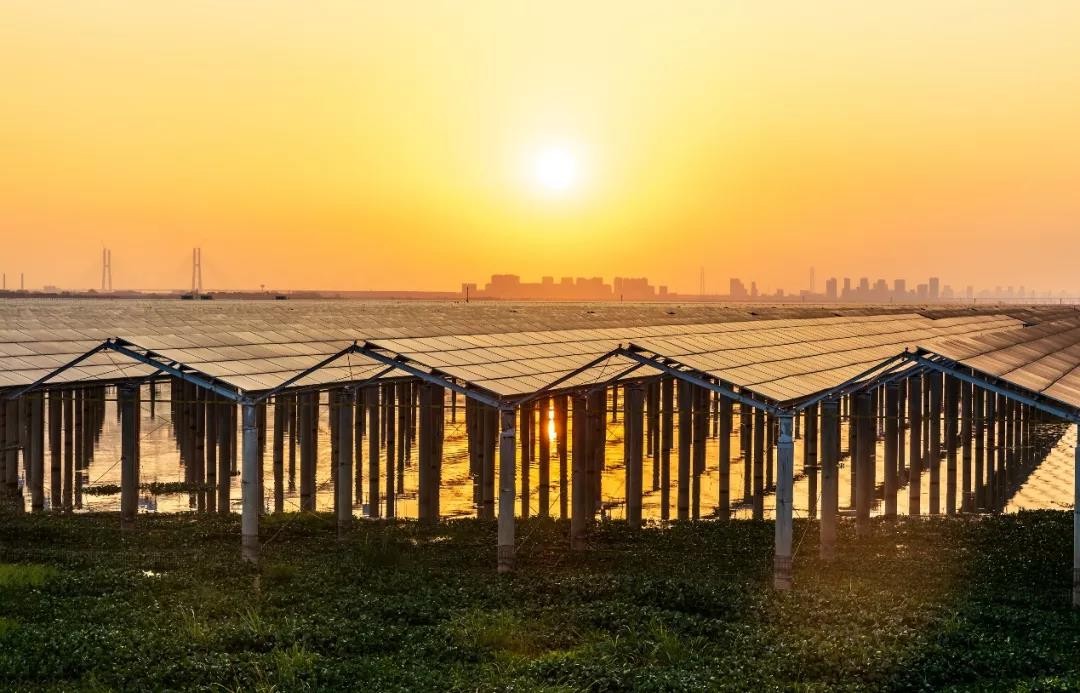 Beyond Success - kaiyun.com Achieved a Preferred Scale of 1120 MW in Jiangxi